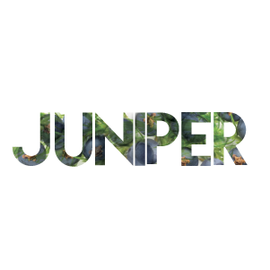 Juniper product logo